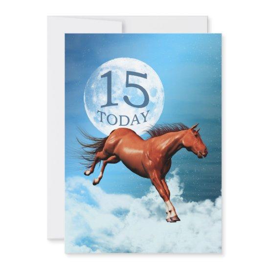 15th birthday Spirit horse party