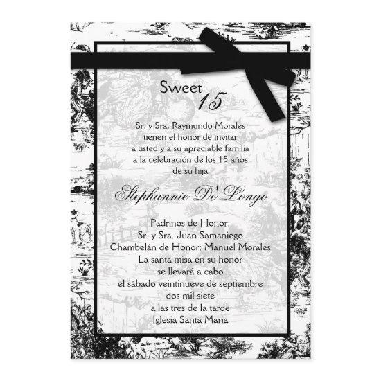 5x7 Black ToileFabric Quinceanera