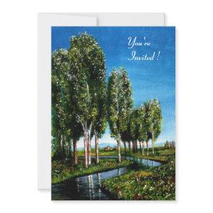 BIRCH TREES IN TUSCANY