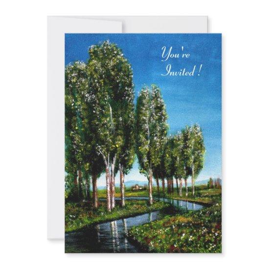 BIRCH TREES IN TUSCANY