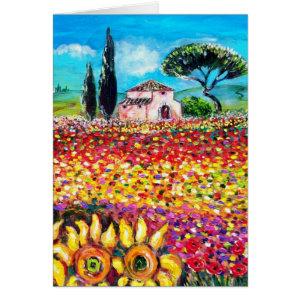 FLORA IN TUSCANY/ Fields ,Poppies and Sunflowers