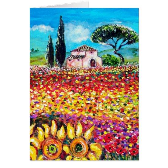 FLORA IN TUSCANY/ Fields ,Poppies and Sunflowers