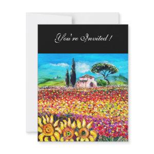 FLORA IN TUSCANY/ Fields ,Poppies and Sunflowers