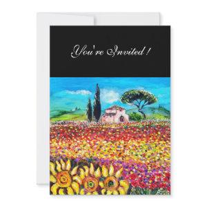 FLORA IN TUSCANY/ Fields ,Poppies and Sunflowers