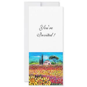 FLORA IN TUSCANY/ Fields ,Poppies and Sunflowers