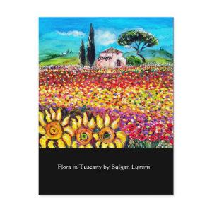 FLORA IN TUSCANY/ Fields ,Poppies and Sunflowers Postcard