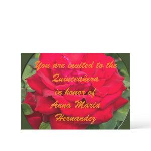 Framed Red Rose