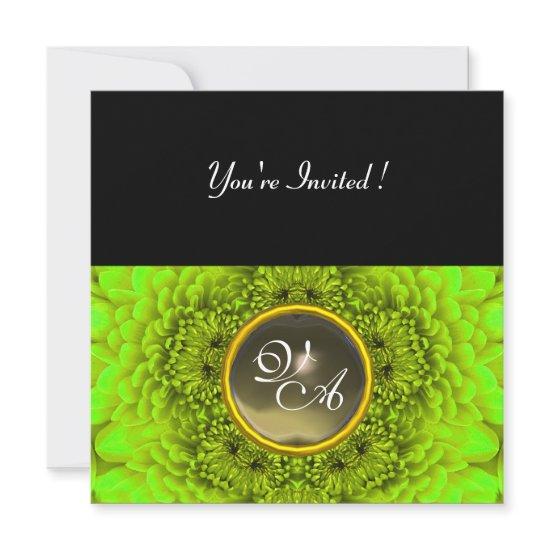 GREEN  DAHLIA, AGATA  ,bright green black yellow