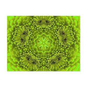 GREEN DAHLIA FLOWER POSTCARD