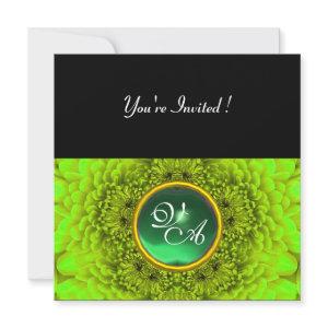GREEN  DAHLIA, JADE ,bright green black yellow