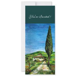 OLD FARM HOUSE IN CHIANTI, blue green red white