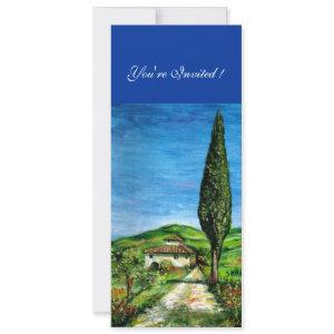 OLD FARM HOUSE IN CHIANTI, blue green red white