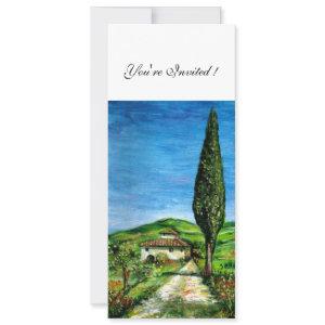 OLD FARM HOUSE IN CHIANTI, blue green red white