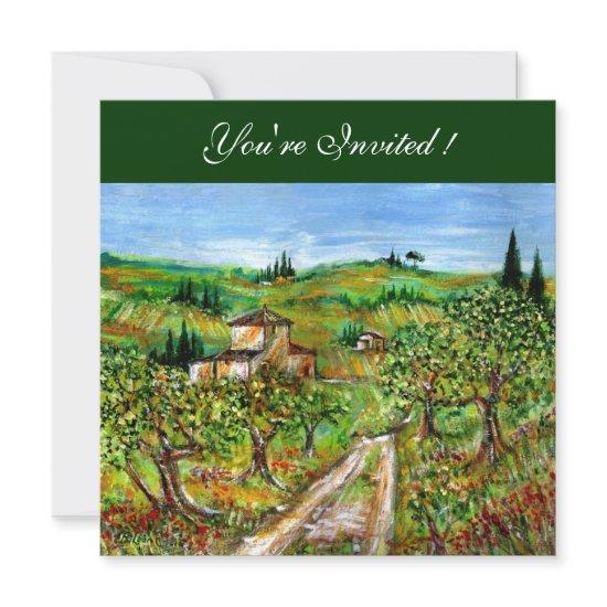 OLIVE TREES IN TUSCANY, green black