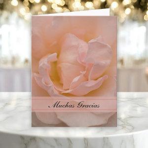 Pale Pink Rose Spanish Thank You Gracias