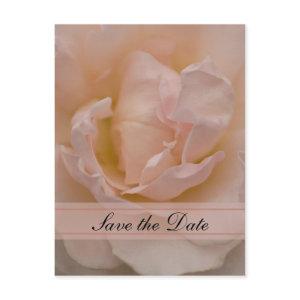 Pink Rose Floral Quinceañera Save the Date Announcement Postcard