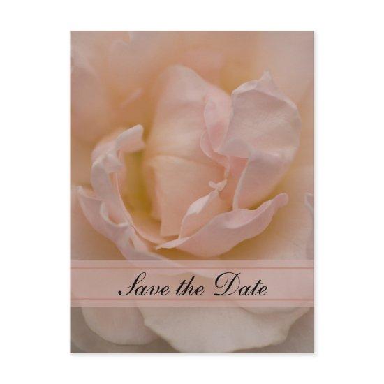 Pink Rose Floral Quinceañera Save the Date Announcement Postcard