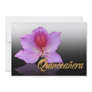Quinceanera  15th Birthday elegant