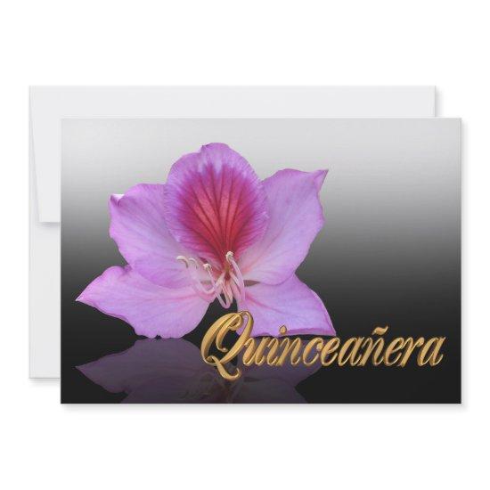 Quinceanera  15th Birthday elegant