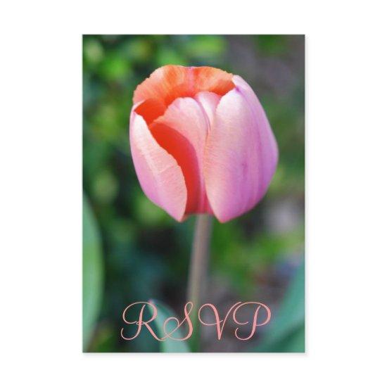 Quinceanera RSVP Pink Tulip 15th Birthday