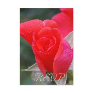 Quinceanera RSVP Red Rose