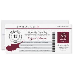 Quinceanera Silver Gray and Burgundy CYPRUS Invita