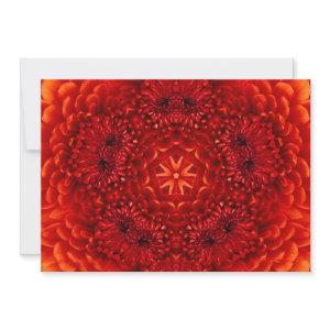 RED DAHLIA,  bright  black