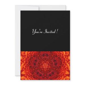 RED DAHLIA,  bright  black