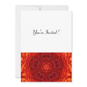 RED DAHLIA,  bright  black white