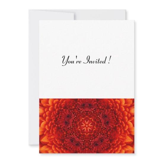 RED DAHLIA,  bright  black white