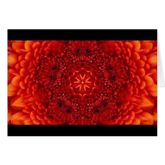 RED DAHLIA FLOWER PETALS