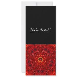 RED DAHLIA, RUBY,   bright  black