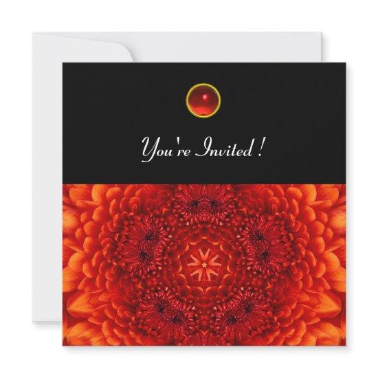 RED DAHLIA, RUBY,   bright  black