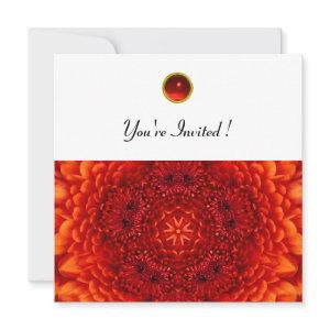RED DAHLIA, RUBY,   bright  black white