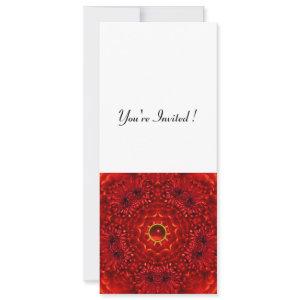 RED DAHLIA, RUBY,   bright  black white