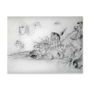 SEASHELLS AND YOUNG GIRL Black White Drawing Postcard