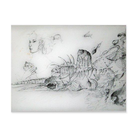 SEASHELLS AND YOUNG GIRL Black White Drawing Postcard