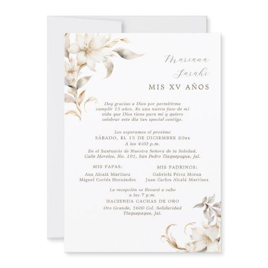 Silver & Gold Quinceañera  in Spanish