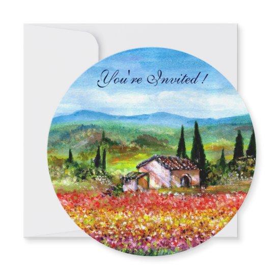 SPRING  IN TUSCANY, bright red pink yellow blue