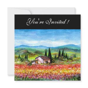 SPRING  IN TUSCANY, bright red pink yellow blue