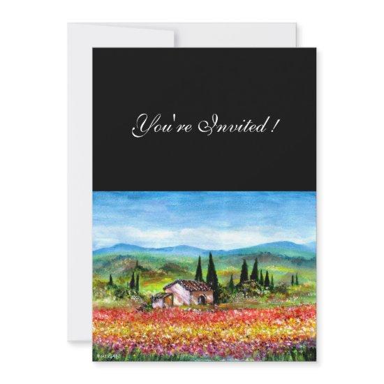SPRING  IN TUSCANY, bright red pink yellow blue