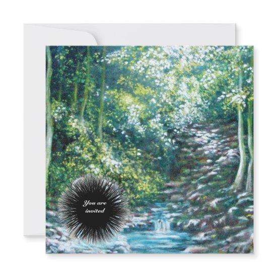 SUMMER SONGS IN THE FOREST