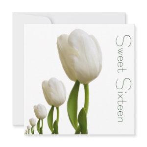 White Tulips Sweet Sixteen